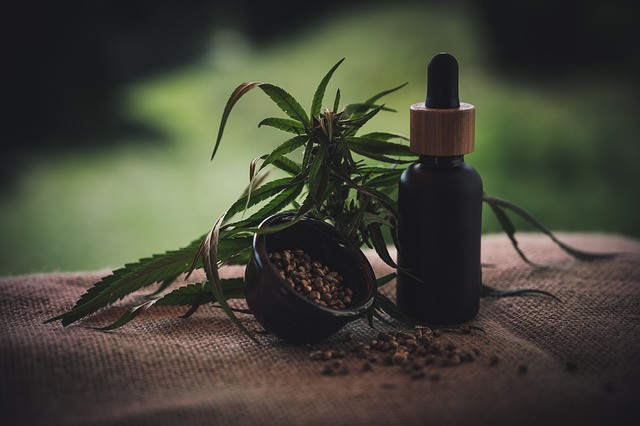 De waarheid over cannabisolie: Gezondheidsvoordelen en risico's onthuld