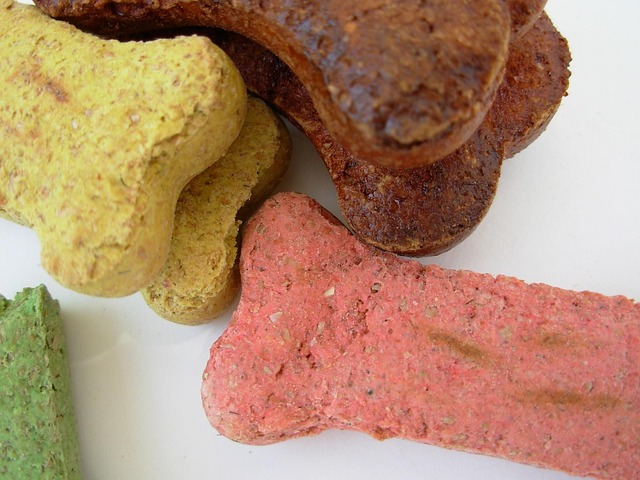 Het belang van voedingssupplementen voor de gezondheid van je hond en kat